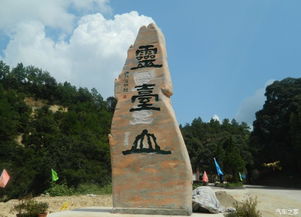 连城至宁化汽车多少